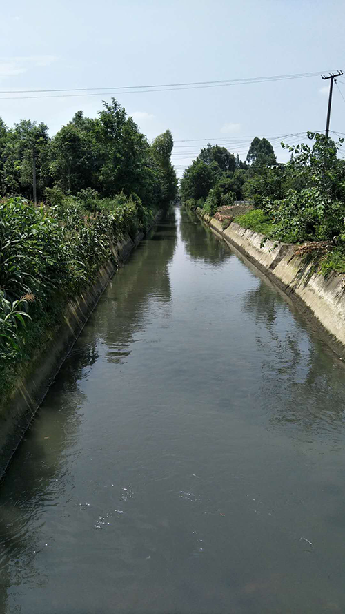 166027608459939.png 圖片1.png