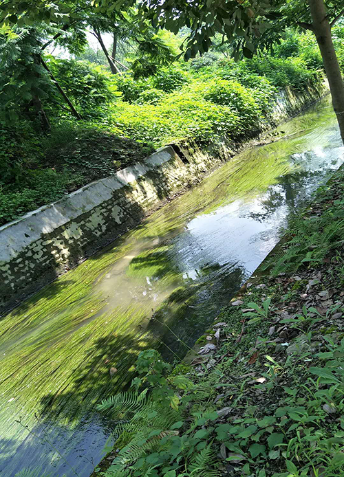 166027609657444.png 圖片2.png