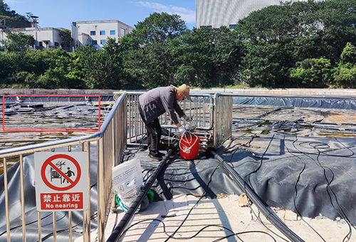 177424628444502.png 圖片1.png